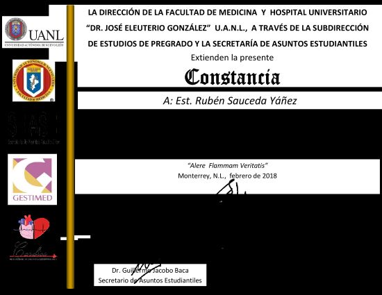 Ampliar imagen: certificate 24