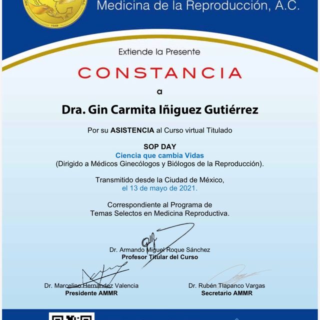 Ampliar imagen: certificate 6