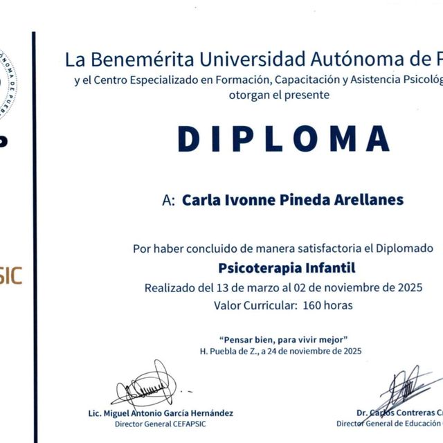 Ampliar imagen: certificate 1
