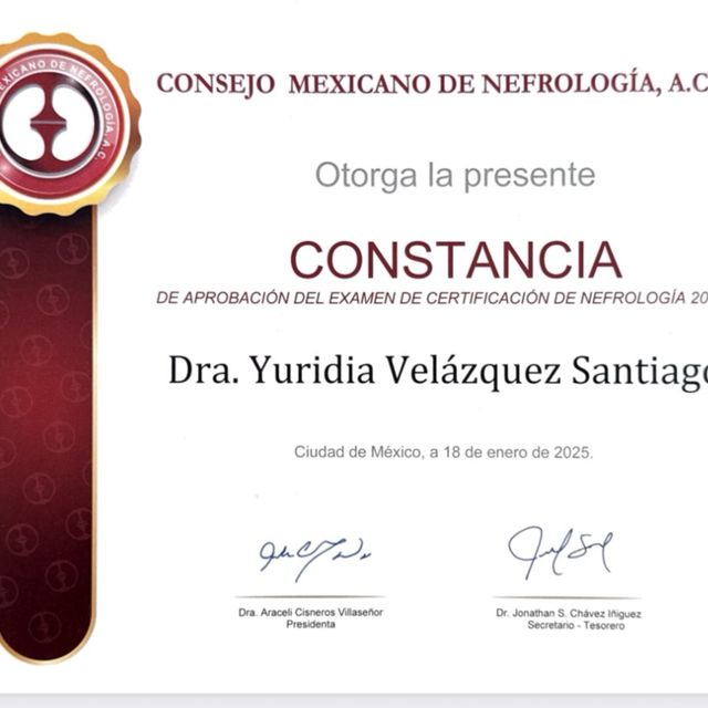 Ampliar imagen: certificate 1