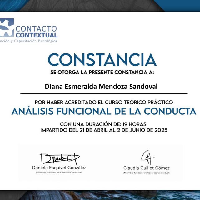 Ampliar imagen: certificate 11