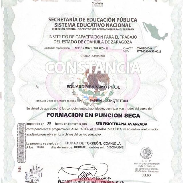 Ampliar imagen: certificate 7
