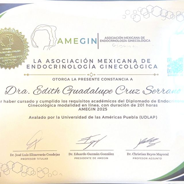 Ampliar imagen: certificate 1