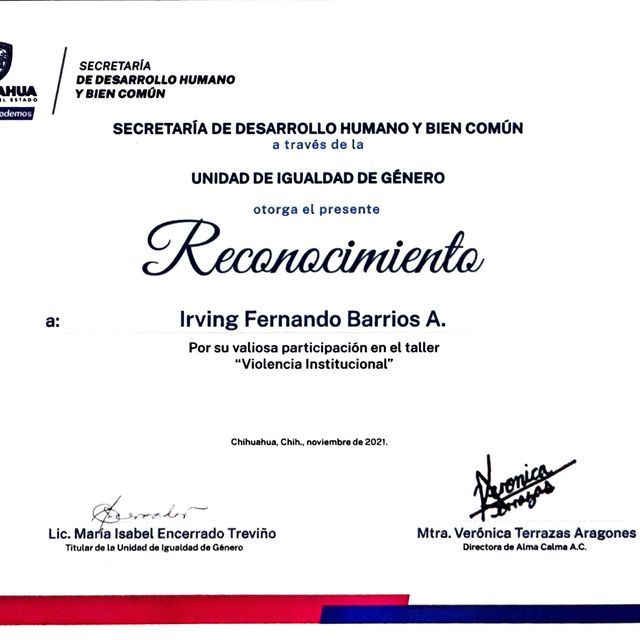 Ampliar imagen: certificate 7