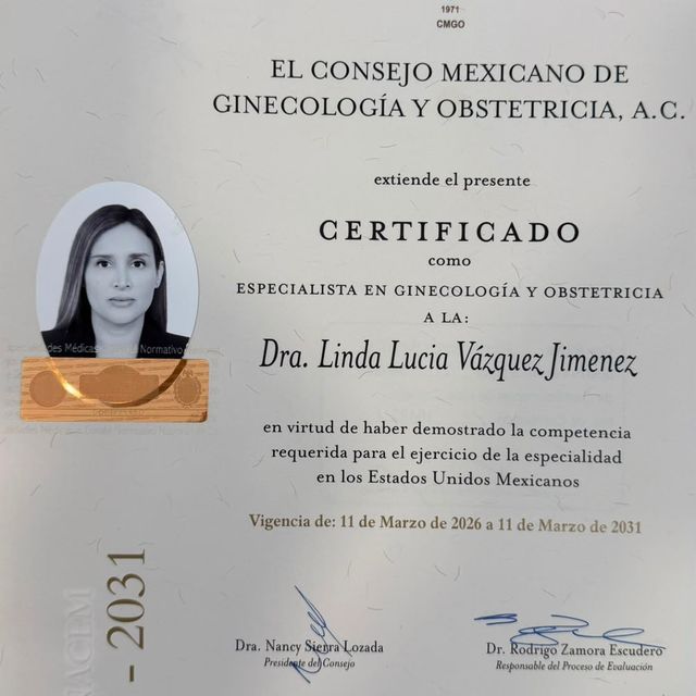 Ampliar imagen: certificate 1