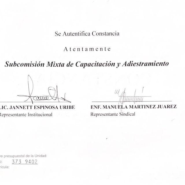 Ampliar imagen: certificate 1