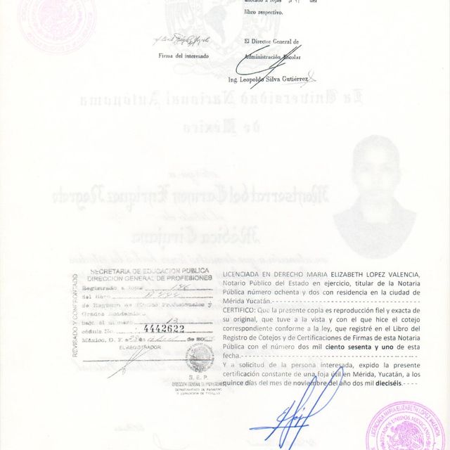 Ampliar imagen: certificate 2
