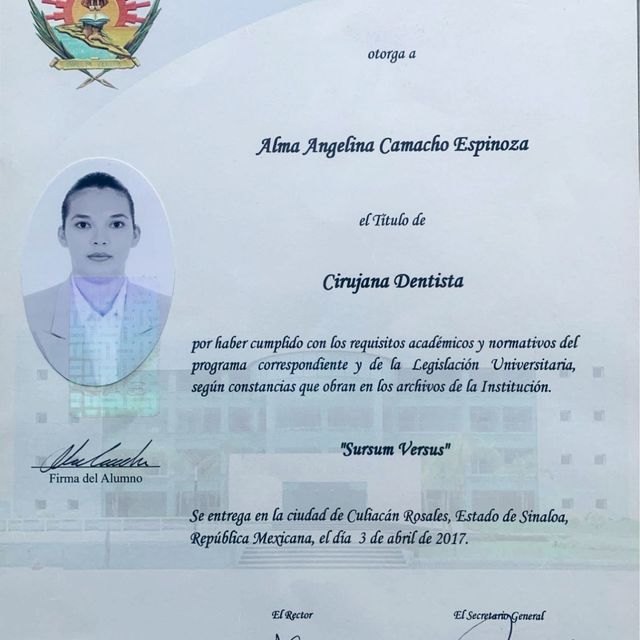 Ampliar imagen: certificate 2
