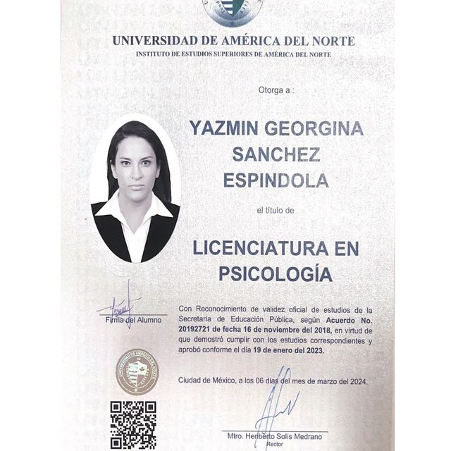 Ampliar imagen: certificate 5