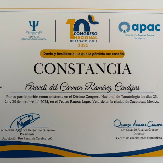 Ampliar imagen: certificate 2