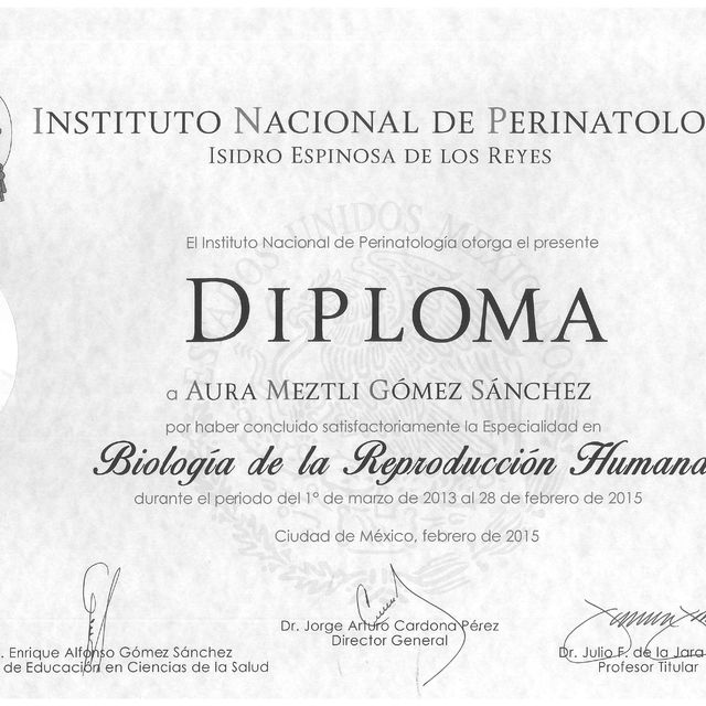 Ampliar imagen: certificate 14