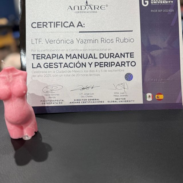 Ampliar imagen: certificate 3