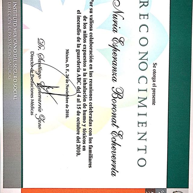 Ampliar imagen: certificate 13