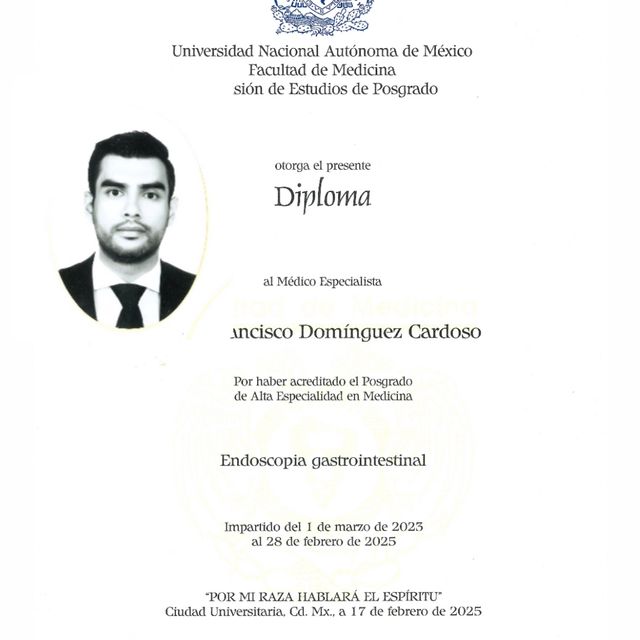 Ampliar imagen: certificate 5