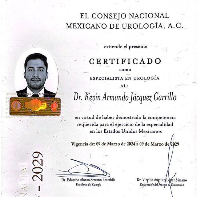 Ampliar imagen: certificate 1