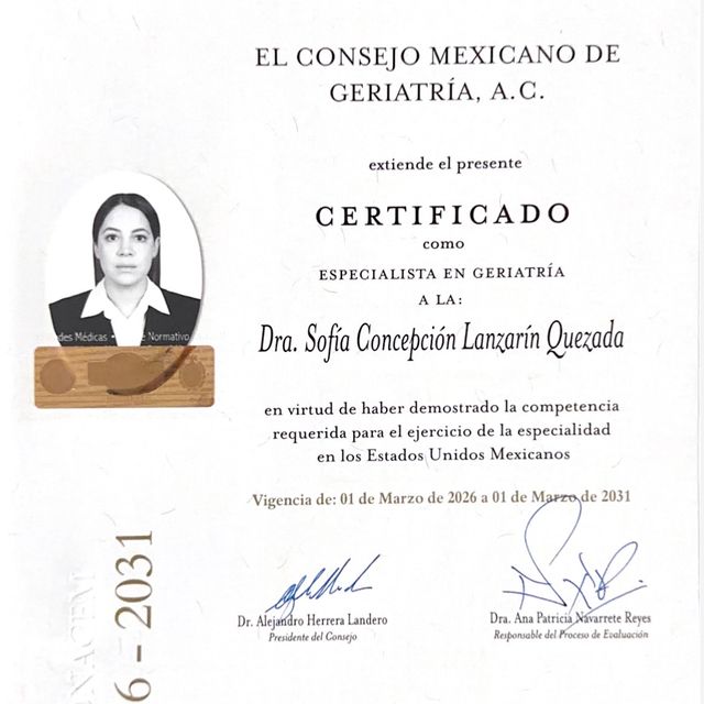 Ampliar imagen: certificate 1