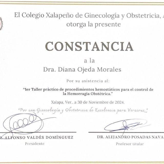 Ampliar imagen: certificate 5