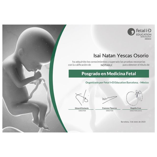 Ampliar imagen: certificate 1
