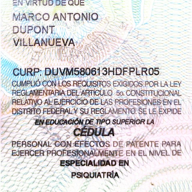 Ampliar imagen: certificate 1