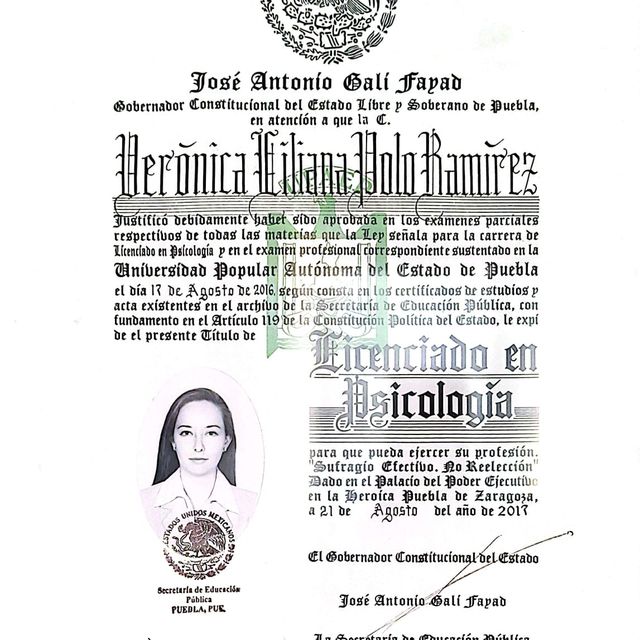 Ampliar imagen: certificate 7