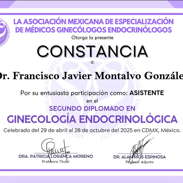 Ampliar imagen: certificate 2