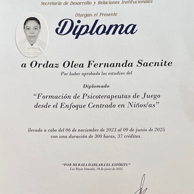 Ampliar imagen: certificate 3