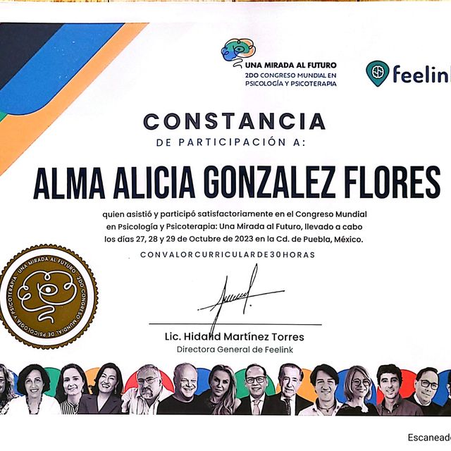 Ampliar imagen: certificate 9