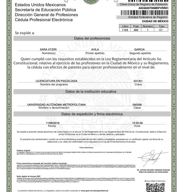 Ampliar imagen: certificate 1