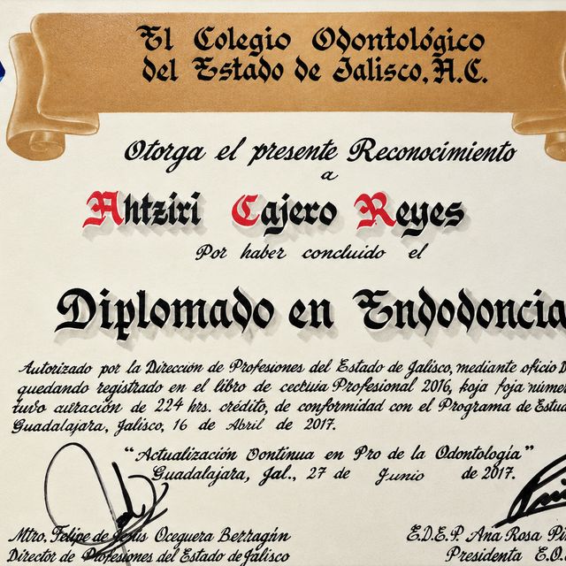Ampliar imagen: certificate 3
