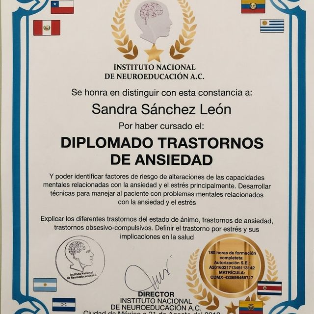 Ampliar imagen: certificate 4