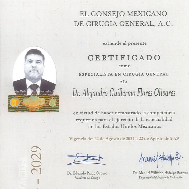 Ampliar imagen: certificate 3