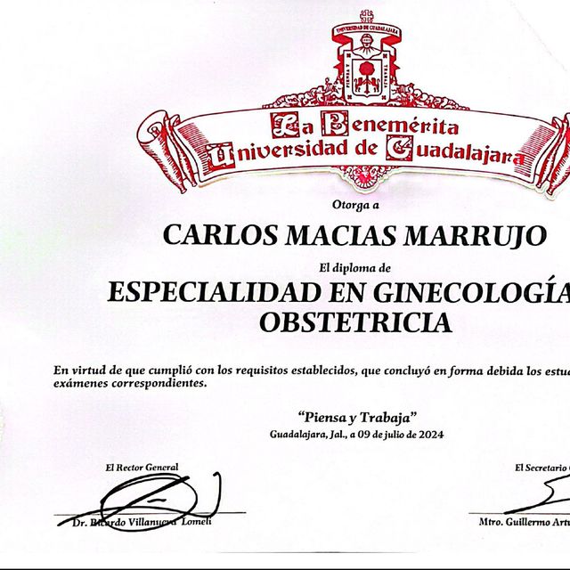 Ampliar imagen: certificate 1