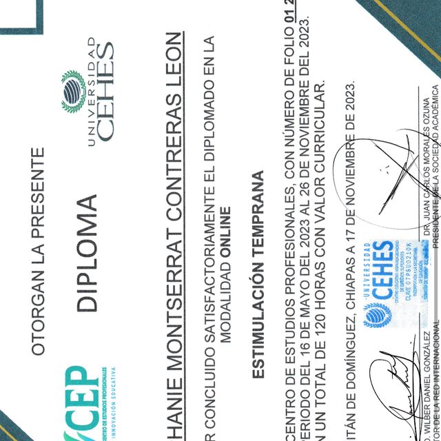 Ampliar imagen: certificate 1