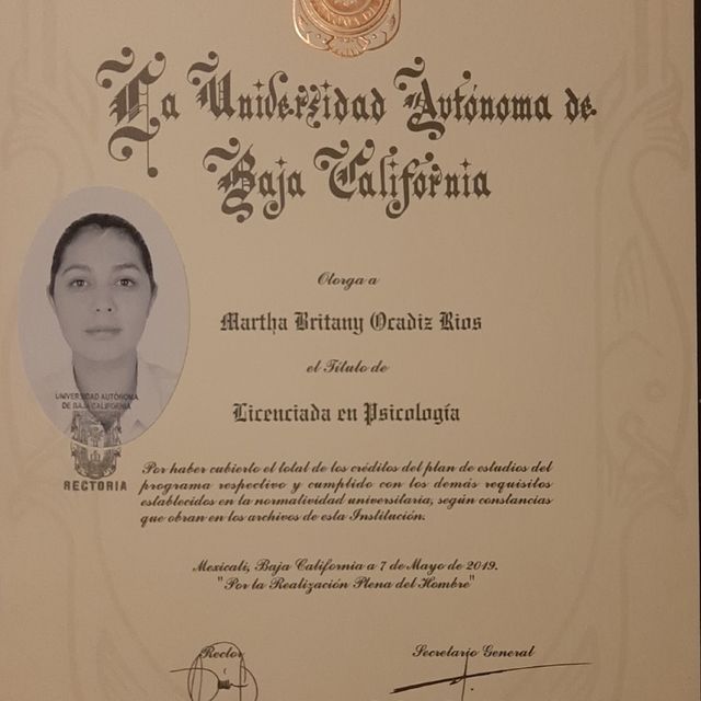 Ampliar imagen: certificate 1