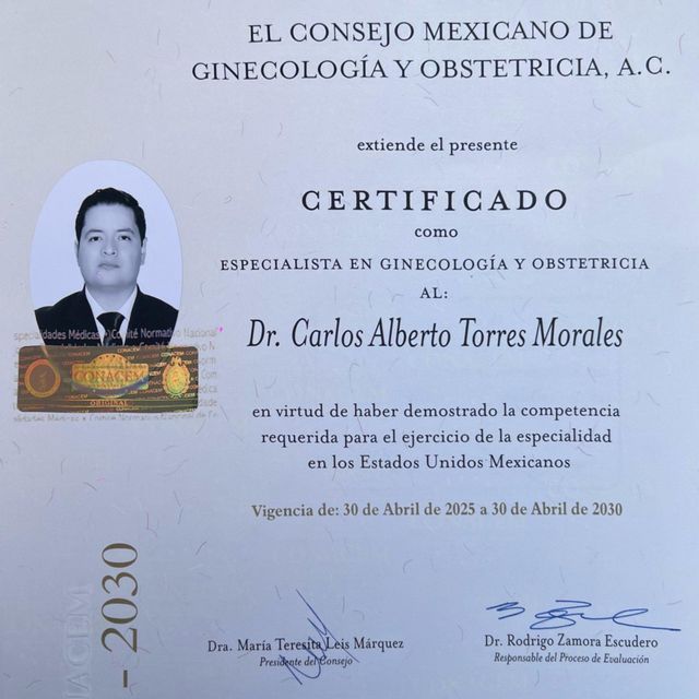 Ampliar imagen: certificate 1