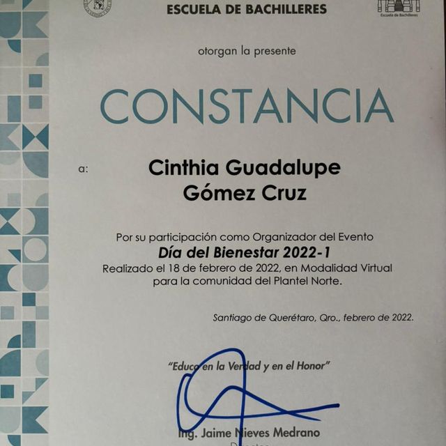 Ampliar imagen: certificate 5