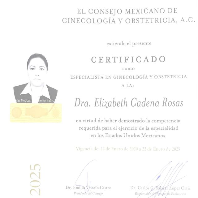 Ampliar imagen: certificate 1
