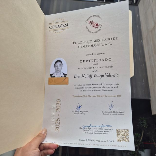 Ampliar imagen: certificate 1