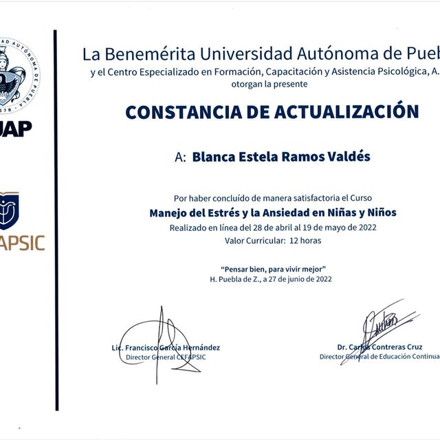 Ampliar imagen: certificate 5