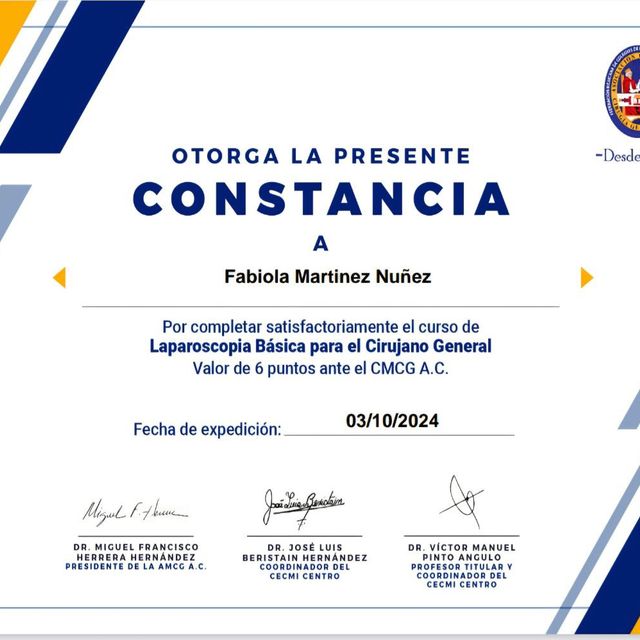 Ampliar imagen: certificate 2