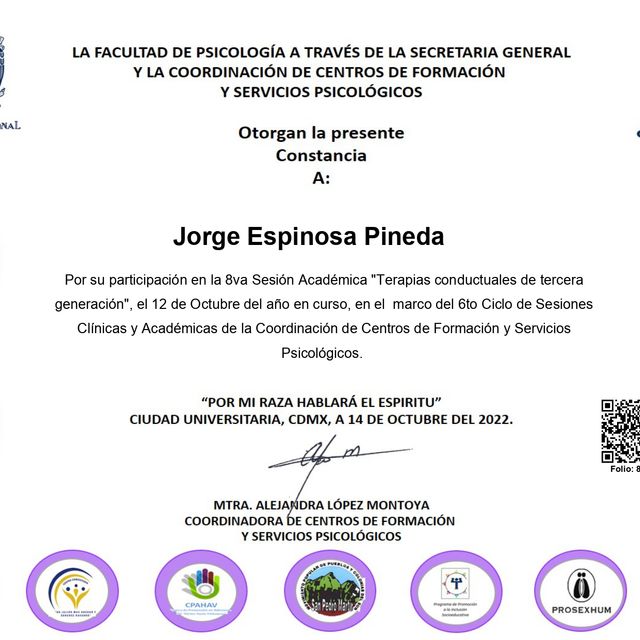 Ampliar imagen: certificate 4
