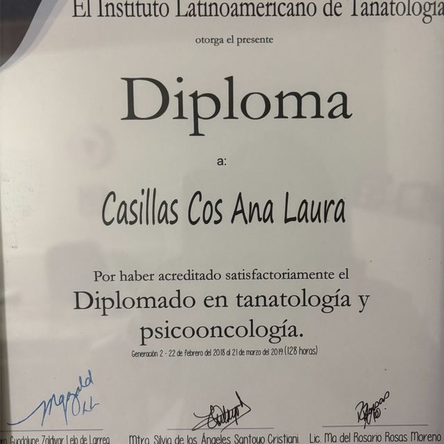 Ampliar imagen: certificate 3
