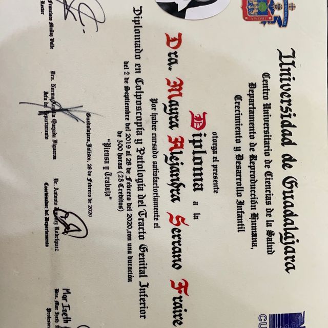 Ampliar imagen: certificate 2