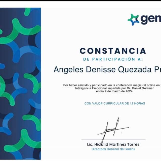 Ampliar imagen: certificate 20