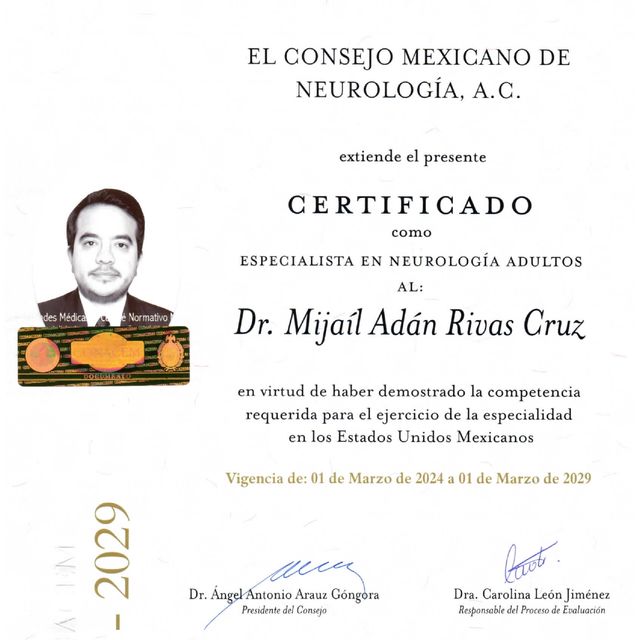 Ampliar imagen: certificate 1