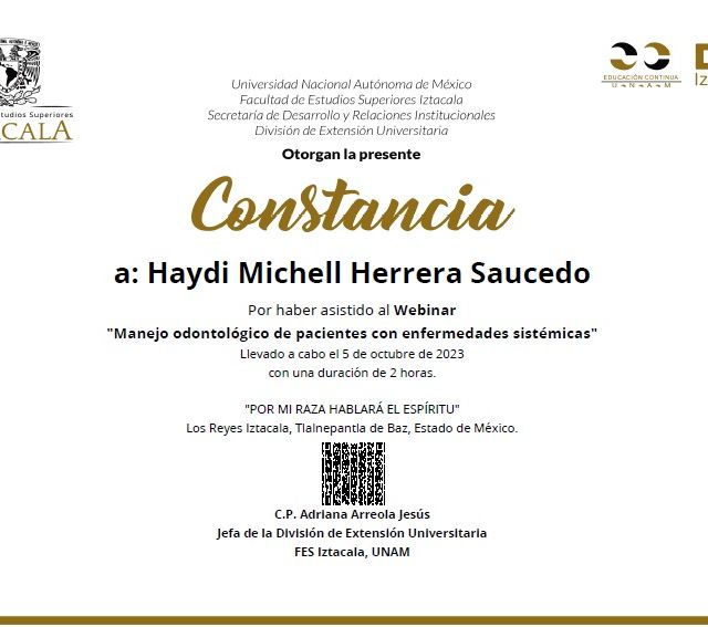 Ampliar imagen: certificate 3