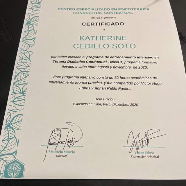 Ampliar imagen: certificate 11