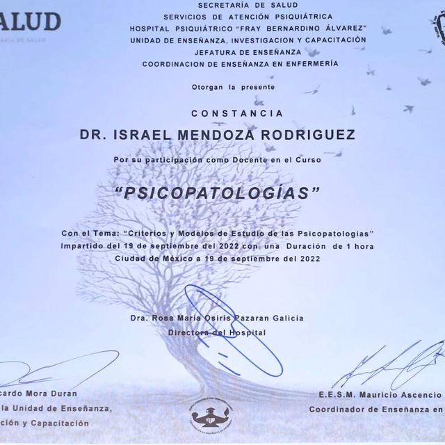 Ampliar imagen: certificate 2