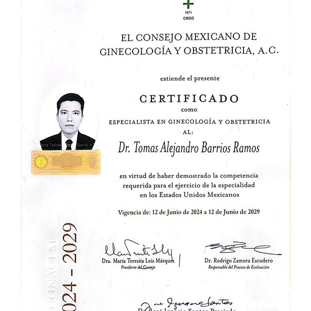 Ampliar imagen: certificate 1