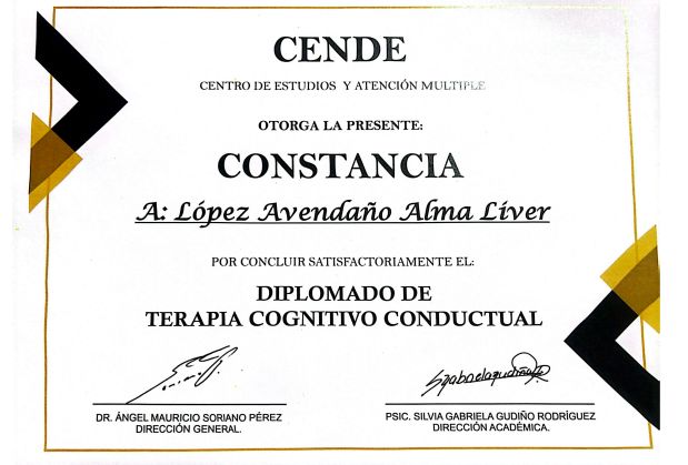 Ampliar imagen: certificate 6
